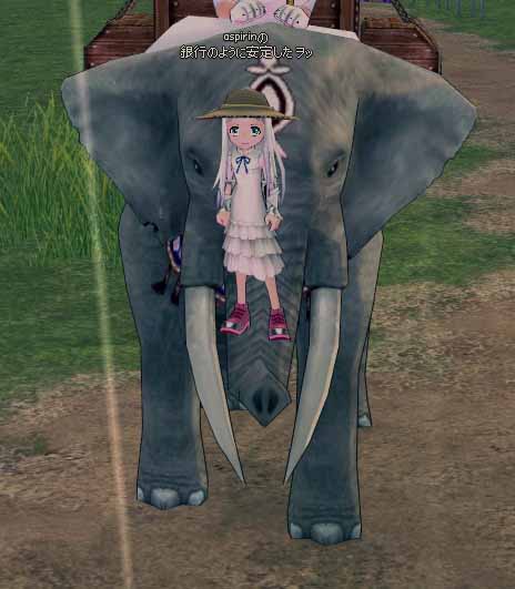 めんま