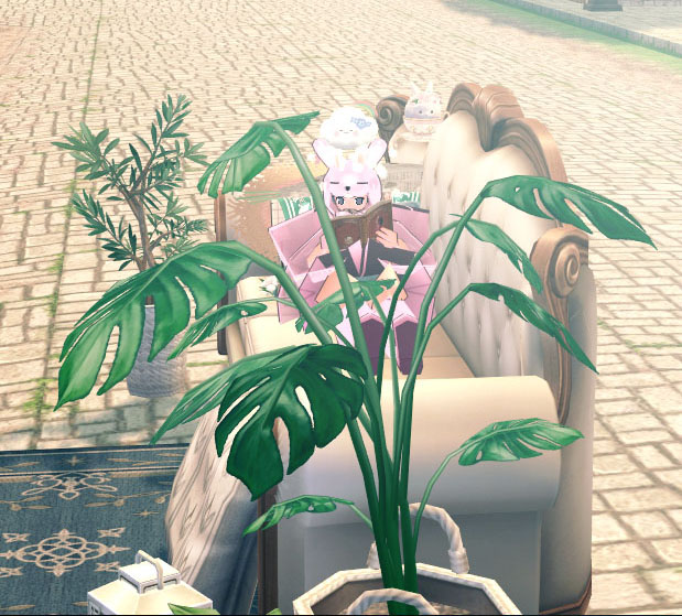 モンステラｗ
