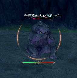 千年物の 幼い褐色ヒグマ