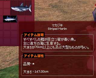 147cmマカジキ