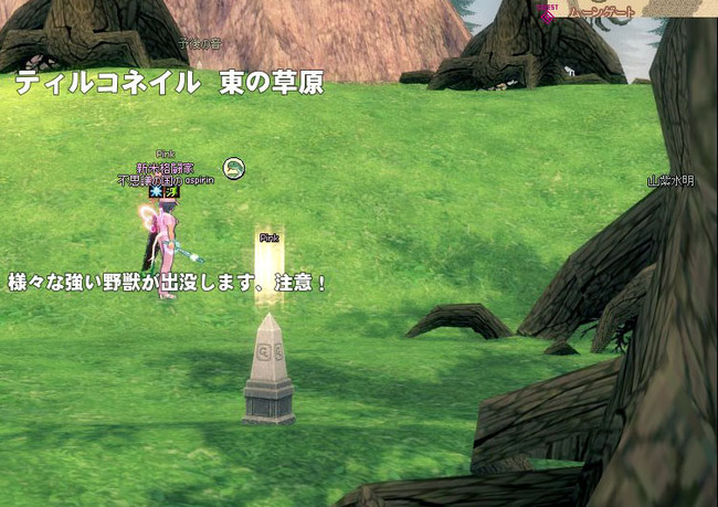 ティルコネイル東の草原