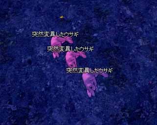 突然変異したウサギ