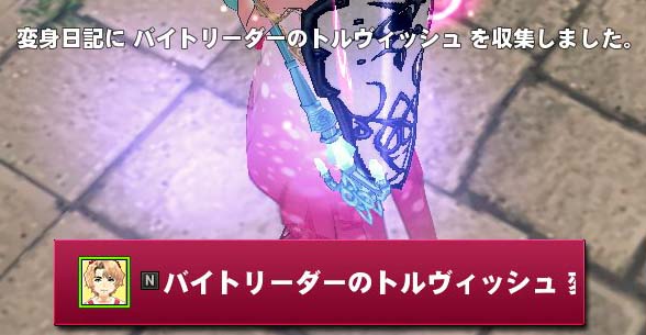 バイトリーダーのトルヴィッシュ