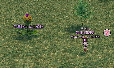 千年物の食虫植物