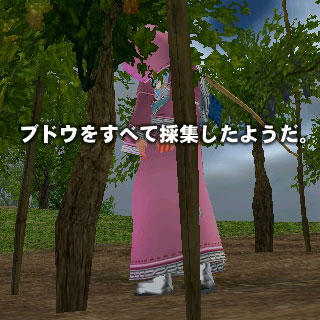 125043675888316428484_mabinogi_2009_08_11_003