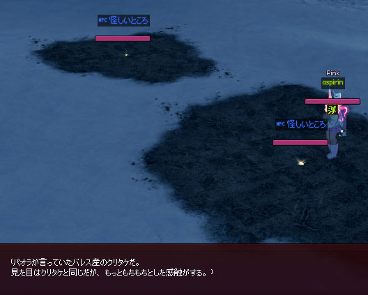 バレス産のクリタケ