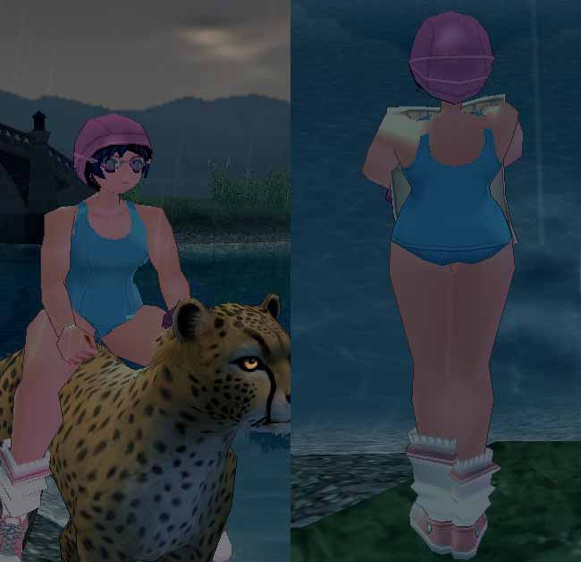 旧型スクール水着（女性用）