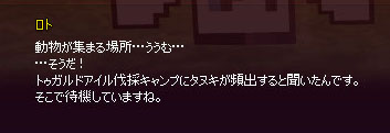 タヌキｗ