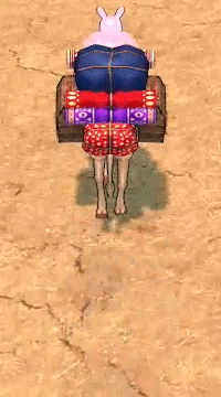 いつものラクダ