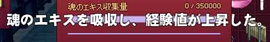 経験値が上昇した