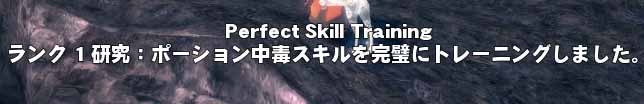 Perfect Skill Training