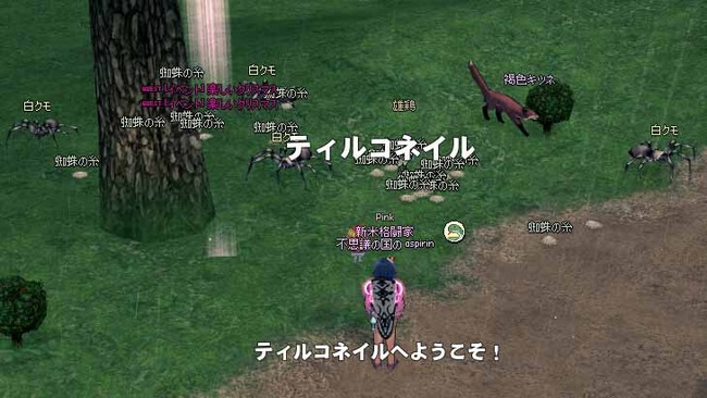 ティルコネイル