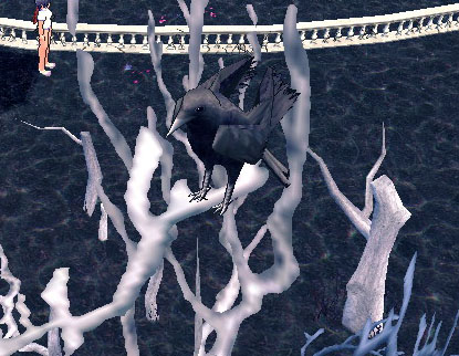 エイヴォンのカラス