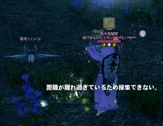 極地スズメバチ