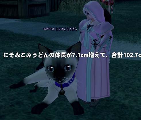 メートル