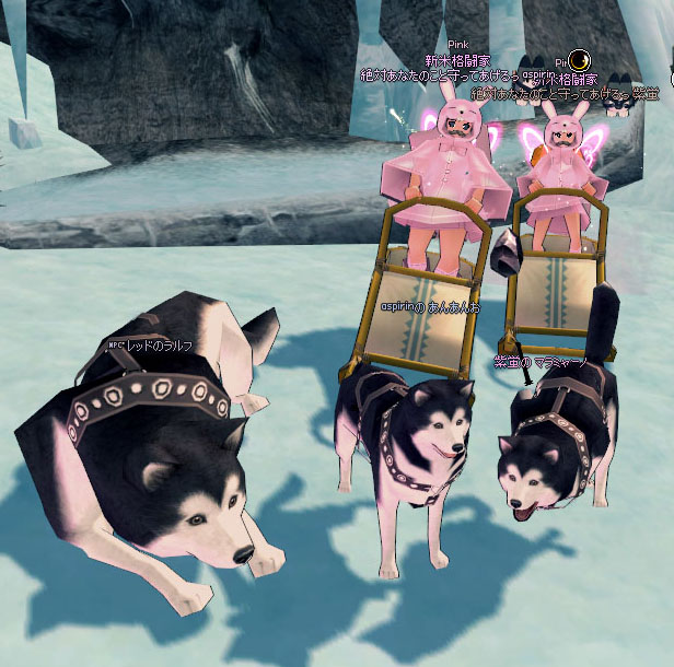 クソデカマラミュート