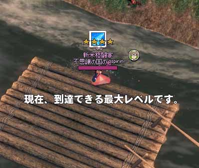 現在、到達できる最大レベルです。