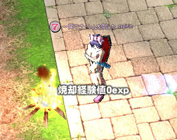 焼却経験値0exp