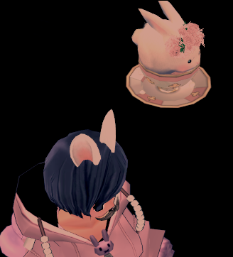 うさぎw