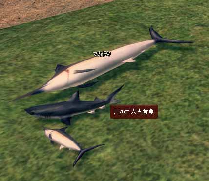 マカジキｗｗｗｗ