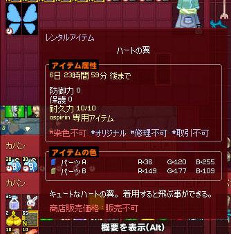 レンタルアイテム