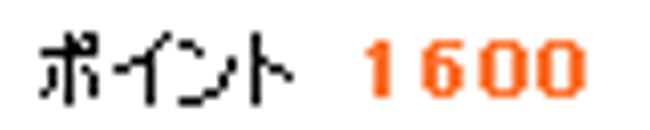 1600ポイント
