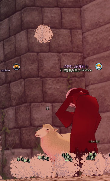 tanasinn