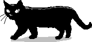 chat_20150221_190801_aspirin