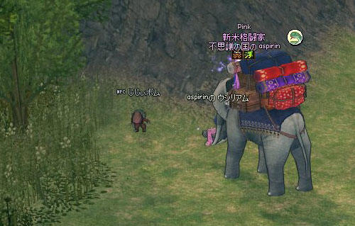 じじぃボムと象