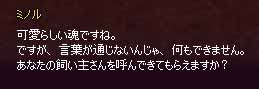 会話ミノル