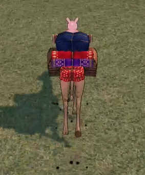ラクダ20