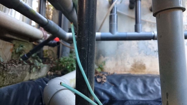 縦に裂ける