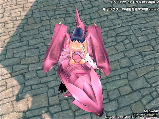 ピンクファイアドラゴン