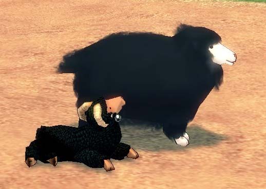 ディテールが違いますよ