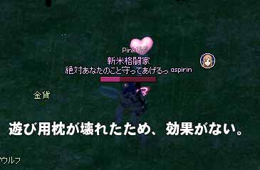 遊び用枕が壊れたため、効果がない。