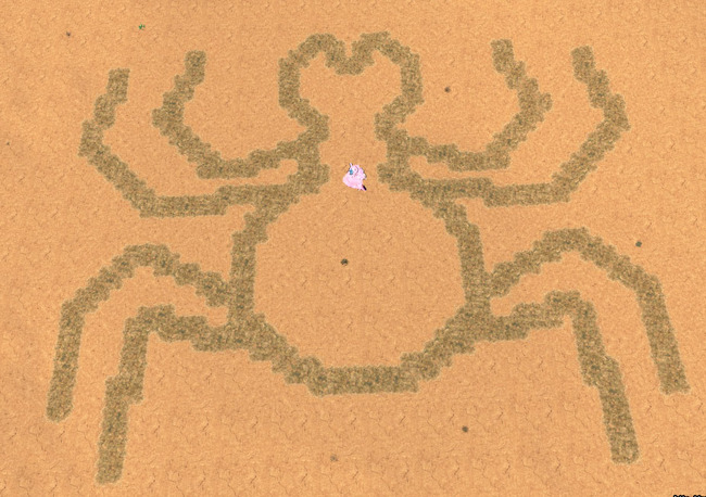 カニにも見えるｗ