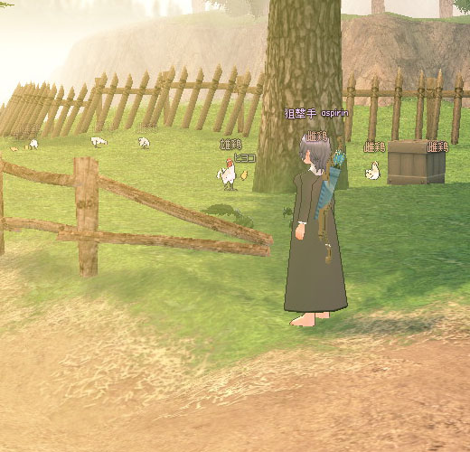 ティルコネイル