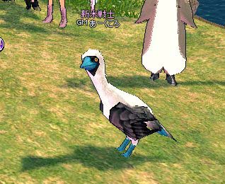青足ブービーGM
