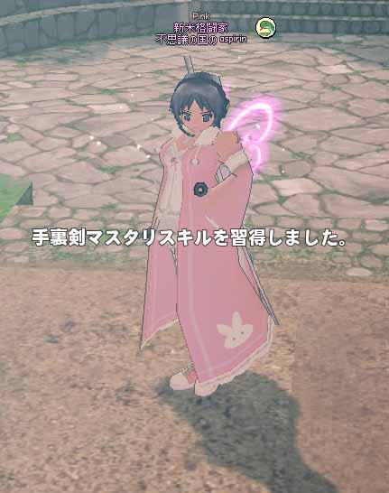 手裏剣マスタリスキルを習得しました。