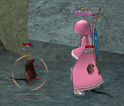 mabinogi_2010_10_24_009