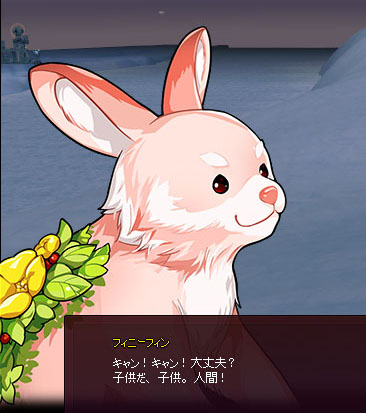 キャンキャンｗ