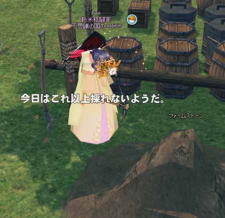 ファームストーン採集