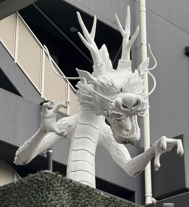 白いレッドドラゴン