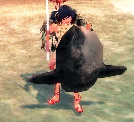 マンボウｗ