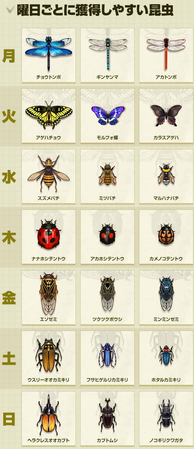 曜日ごとに獲得しやすい昆虫