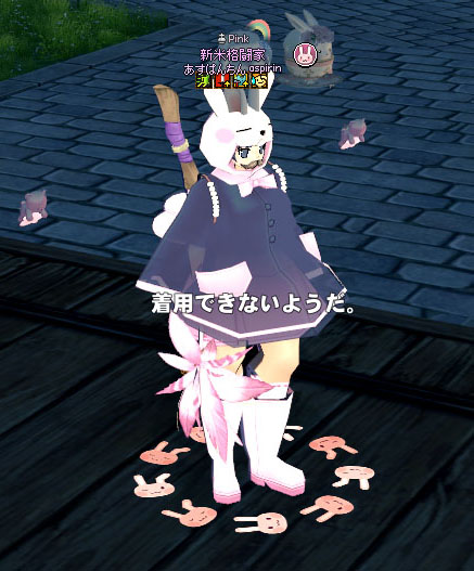 着用できないようだ