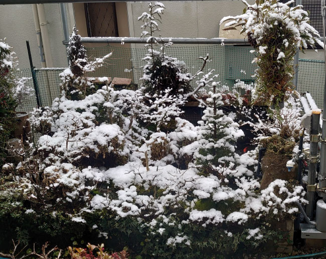 リアル浪漫農場