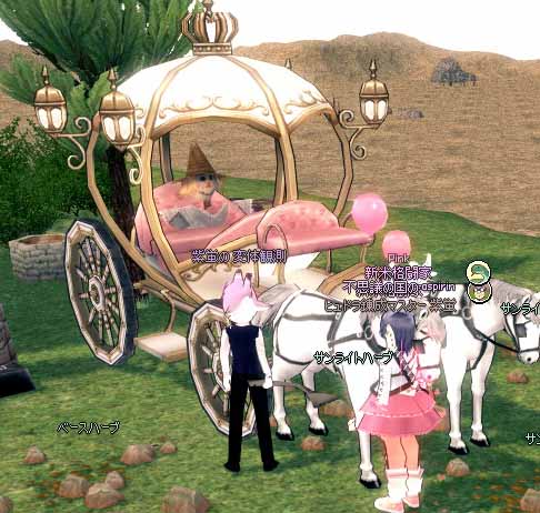 パートナーの貴族馬車