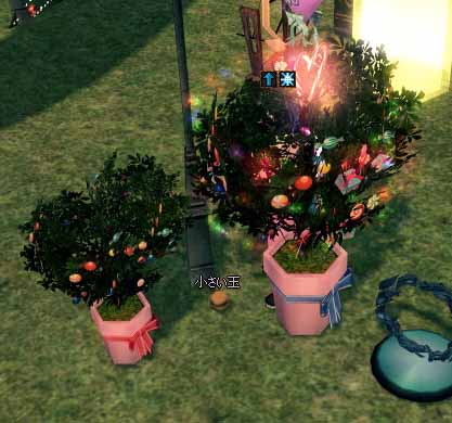 キャンディーツリー