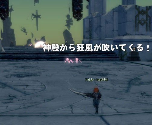 狂風w
